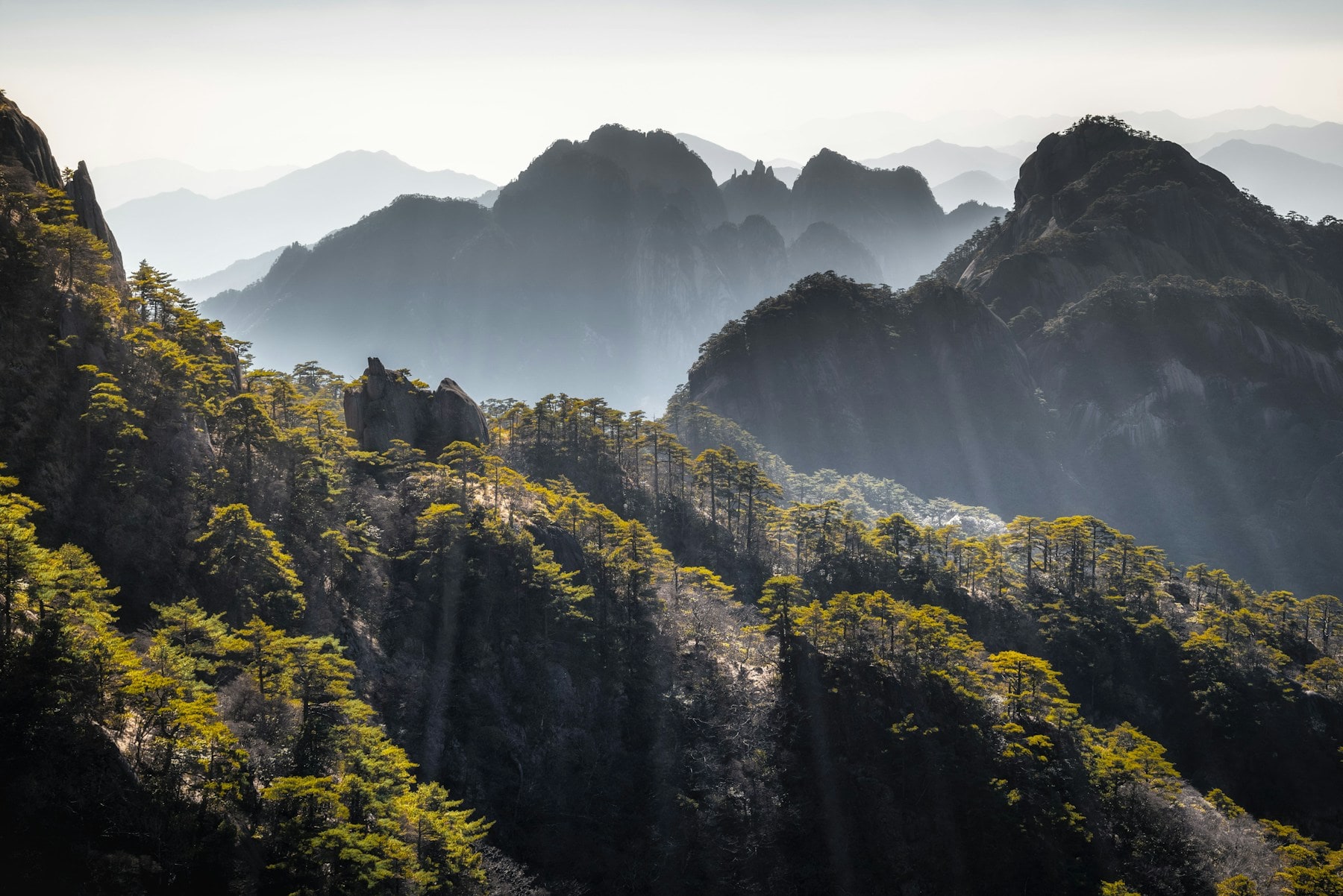 Huangshan cloud sea and granite peaks