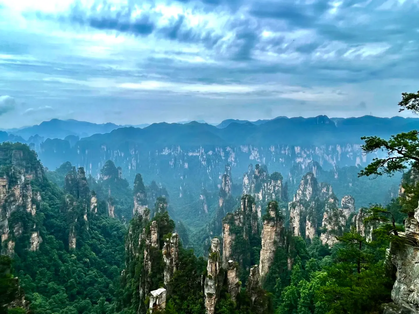Zhangjiajie forest pillars in mist for a classic China Zhangjiajie route