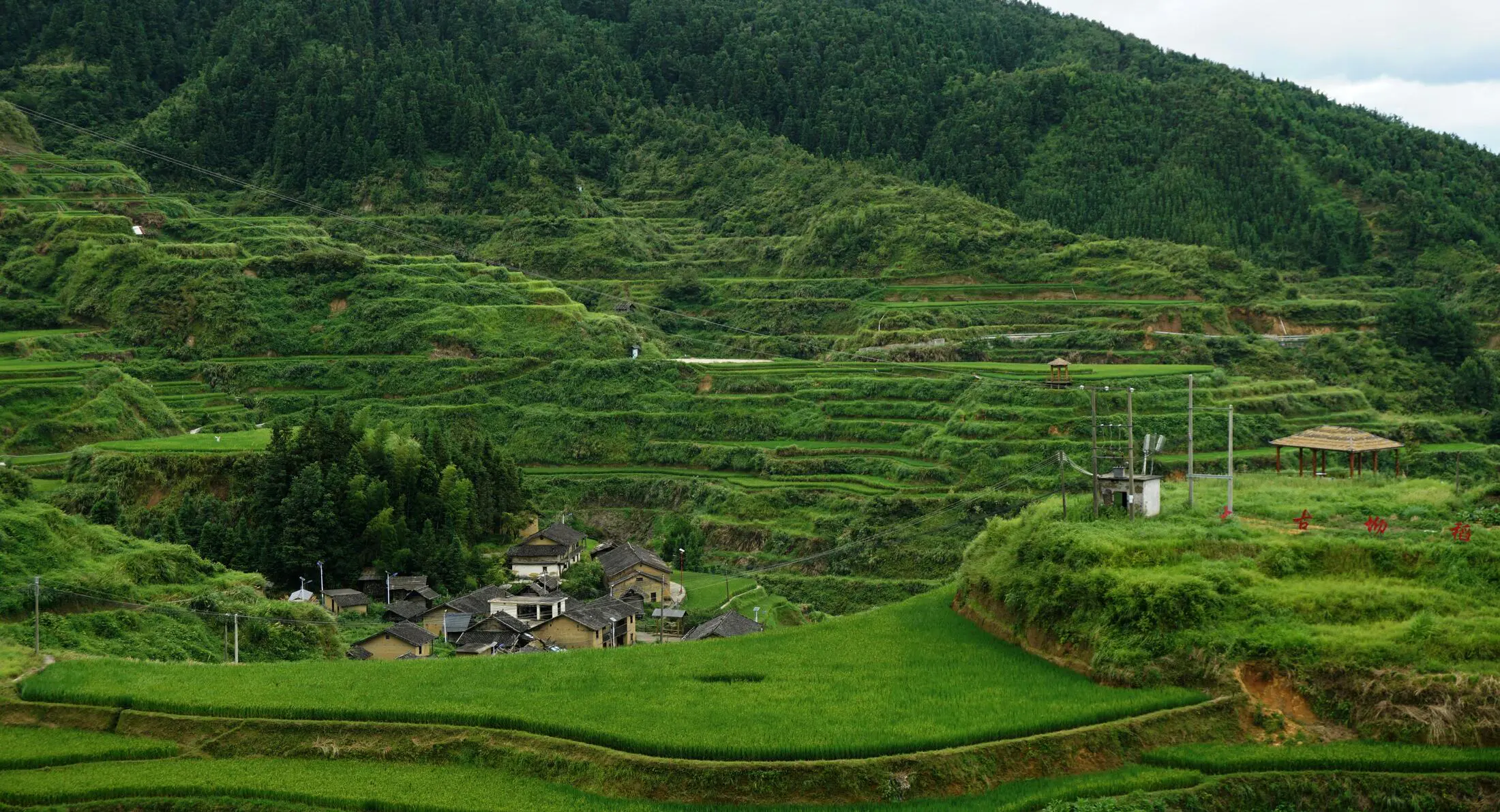 Local Culture Villages