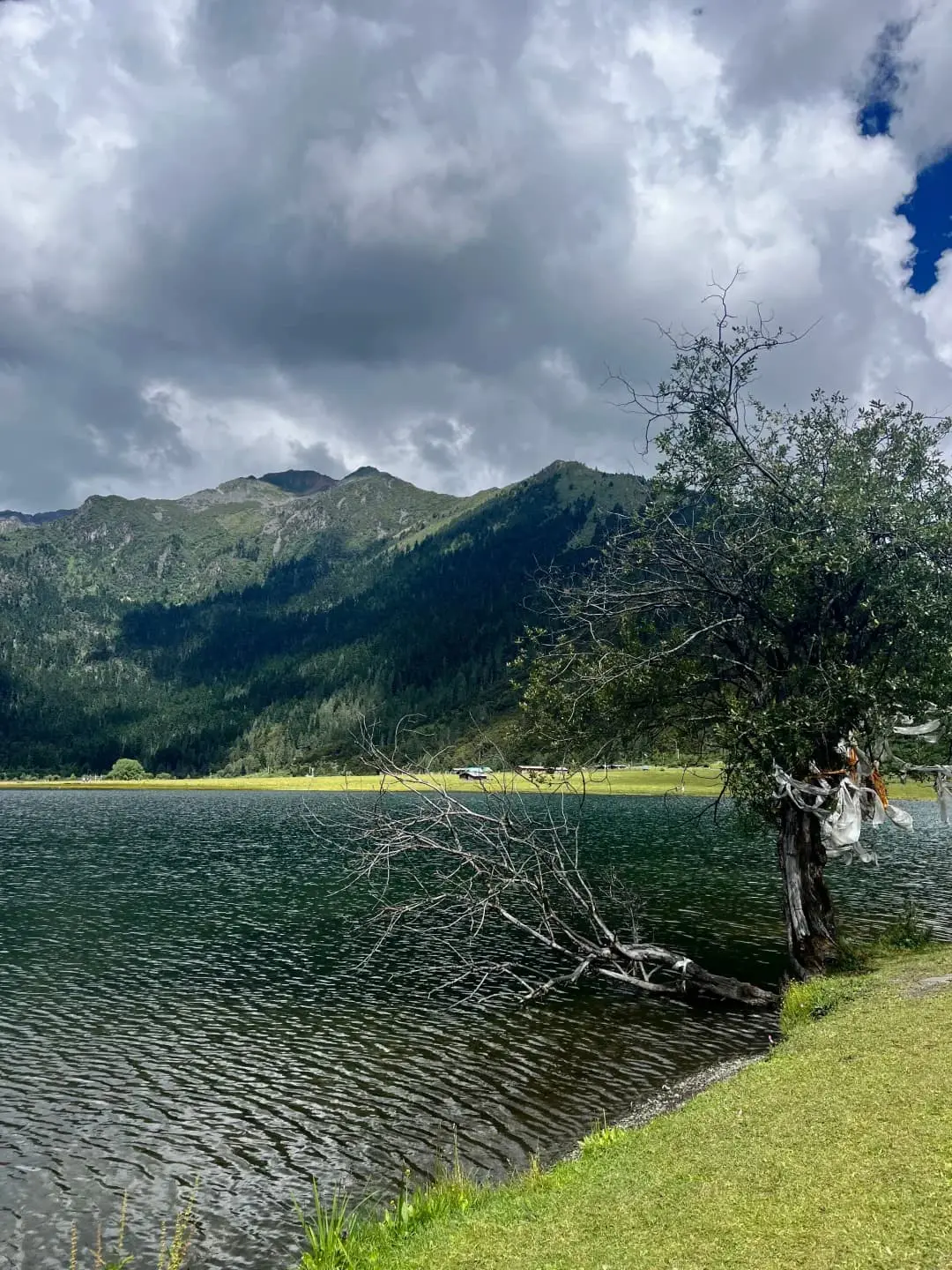 Shangri-La Pudacuo lake and meadow proof for the 8-day Yunnan route